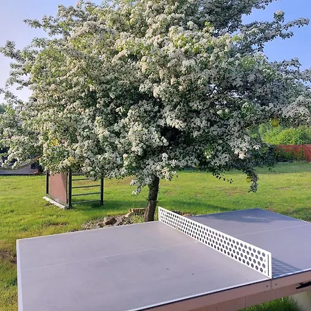 Holiday home Modern Homes For 8 People With The Pool Kolczewo