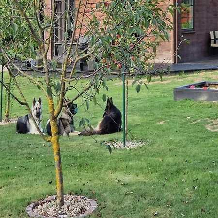 Holiday home Modern Homes For 8 People With The Pool *