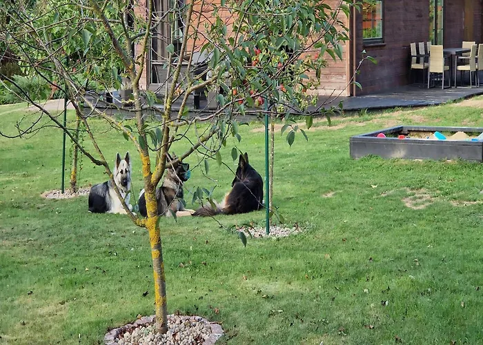 Сasa de vacaciones Modern Homes For 8 People With The Pool *